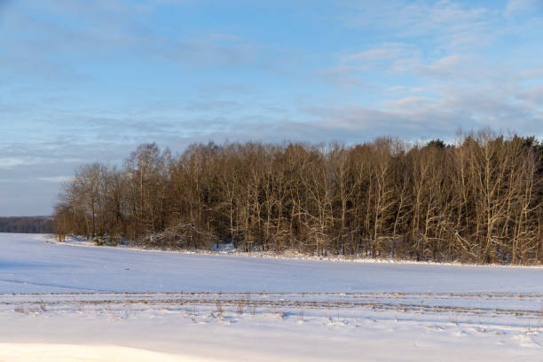 istock winter season with snowdrifts after snowfall 1387447973