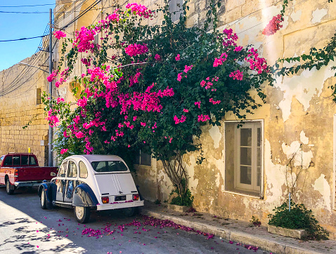 Colorful parking space in Malta covered in red flowers