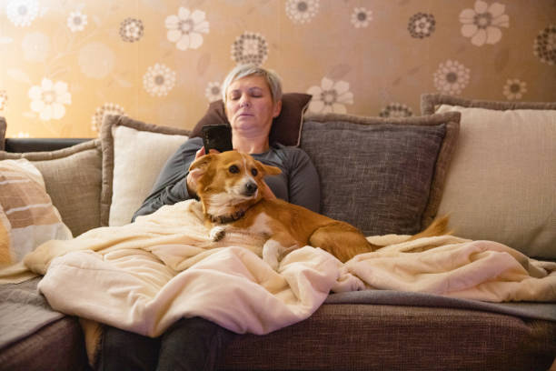 istock Woman with her dog 1387454838