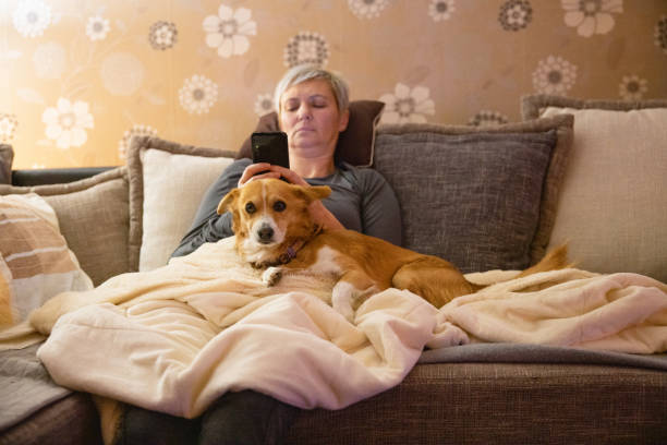 istock Tired pet owner relaxing with dog on sofa 1387454872