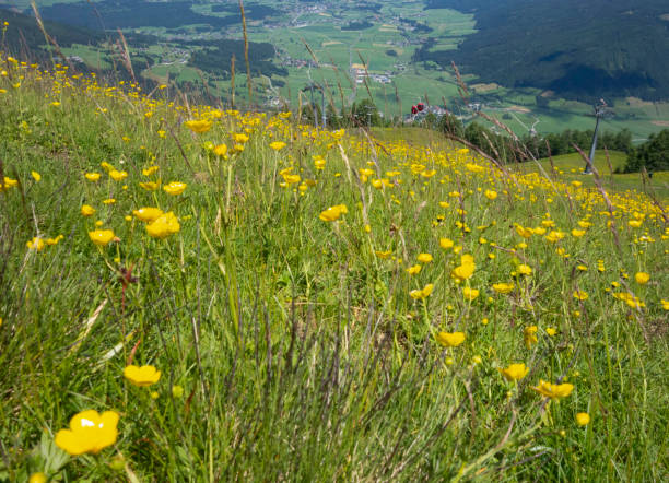 istock natural mountain landscape in the alps 1387455008