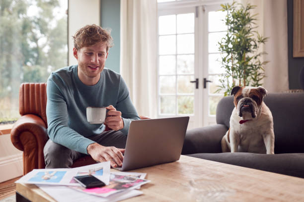 Man Working From Home In Creative Design Or Marketing Industry Checking Artwork With Pet Bulldog stock photo