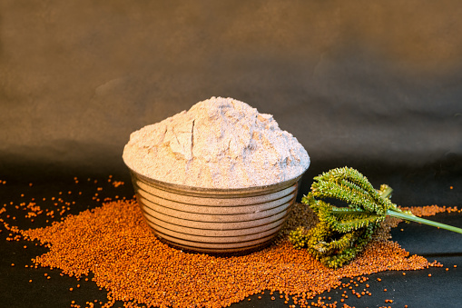 Flour of Ragi Millet (Finger Millet) in bowl with fresh green ear of Ragi Millet.