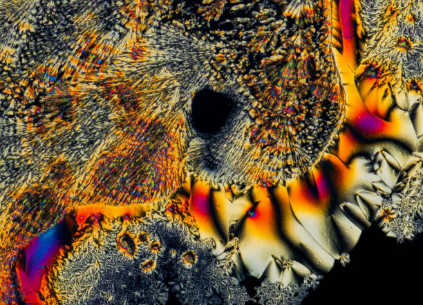 istock Extreme macro photograph of Vitamin C crystals forming abstract modern art patterns, when illuminated with polarized light, under a microscope objective with 10x magnification 1387458580