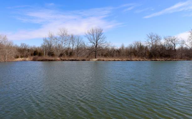 istock Quiet View of the Lake 1387458594