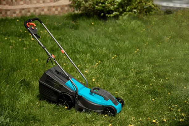 istock Close up of the lawn mower machine. 1387459399