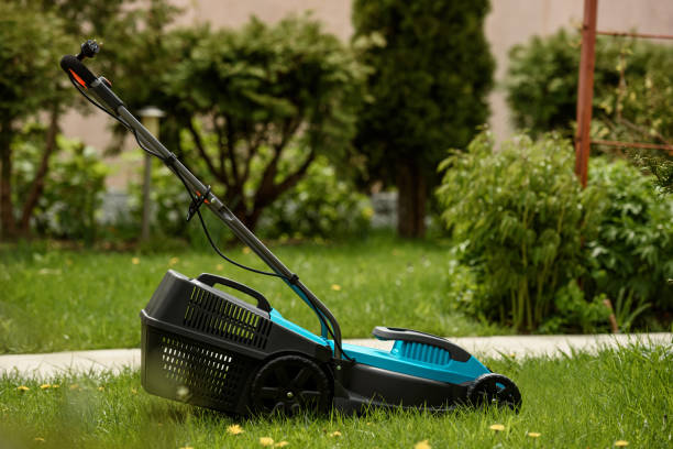 istock Close up of the lawn mower machine. 1387459443