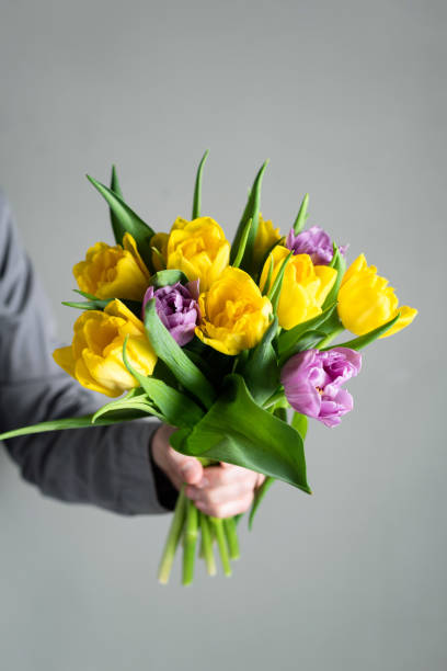 istock Yellow and purple tulips bouquet in hands 1387459678