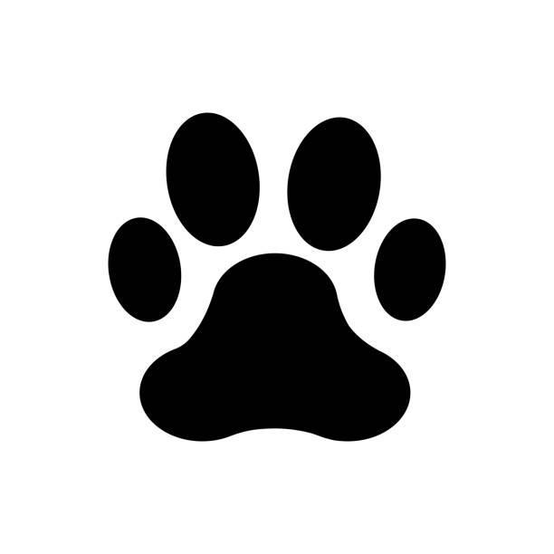 illustrazioni stock, clip art, cartoni animati e icone di tendenza di icona pawprint. impronta di cane o gatto. animale domestico domestico. vettore su sfondo bianco isolato. eps 10 · - pet
