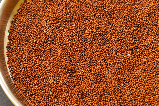 Finger millet spread in the steel plate. It is also known as nachani, ragi which consumed in all over India. It is very nutritive food grain with healthy benefits. Used selective focus.