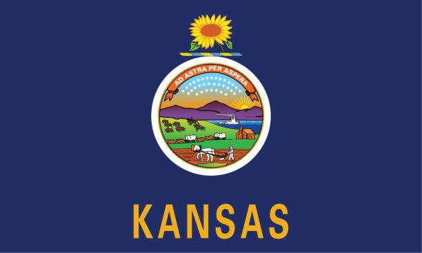 вектор флага штата канзас. - kansas stock illustrations