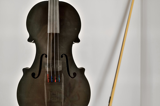 The  3D print violin