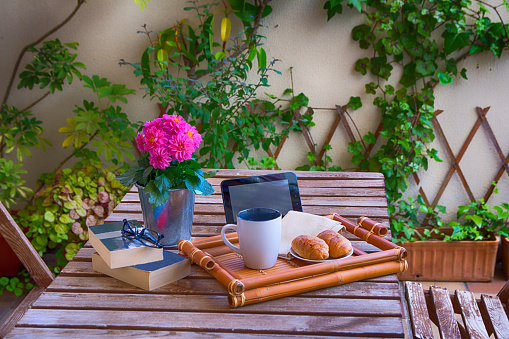 Wooden tray with a good breakfast and two books. Home garden