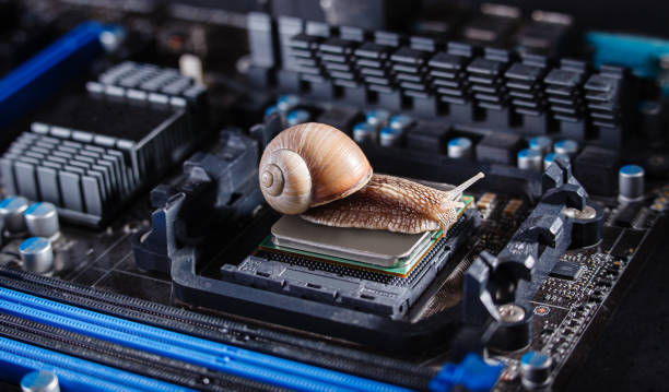 A snail on the processor in the motherboard. Old computer. Slow components. A snail on the processor in the motherboard. Old computer. Slow components. debugging photos stock pictures, royalty-free photos & images