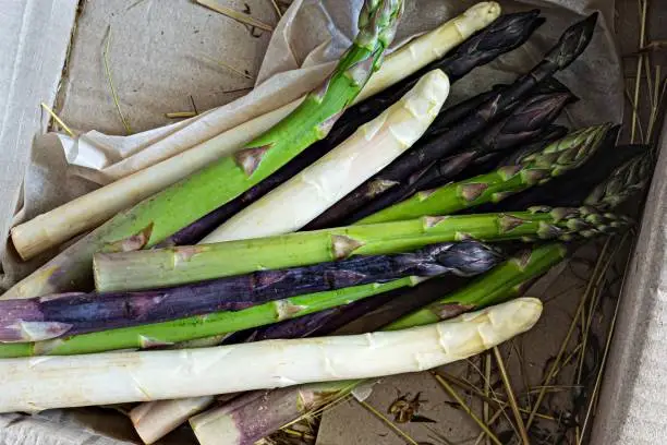 Raw white, purple, green asparagus  in a box. Raw food concept (delivery).