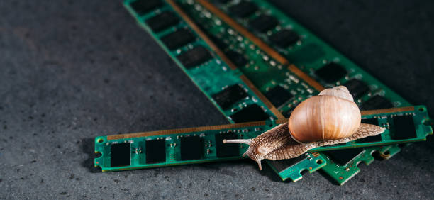 istock Snail on the slats of RAM. Old obsolete memory. Slow RAM. Computer components. Dark background. 1387469902