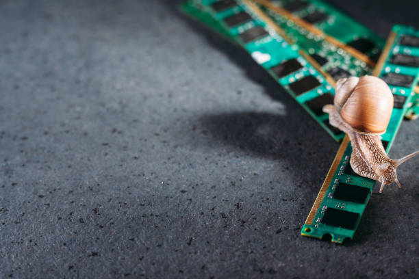 istock Snail on the slats of RAM. Old obsolete memory. Slow RAM. Computer components. Dark background. 1387469903