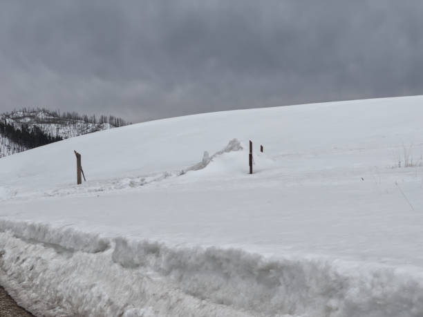 istock Valles Caldera National Preserve 1387470128