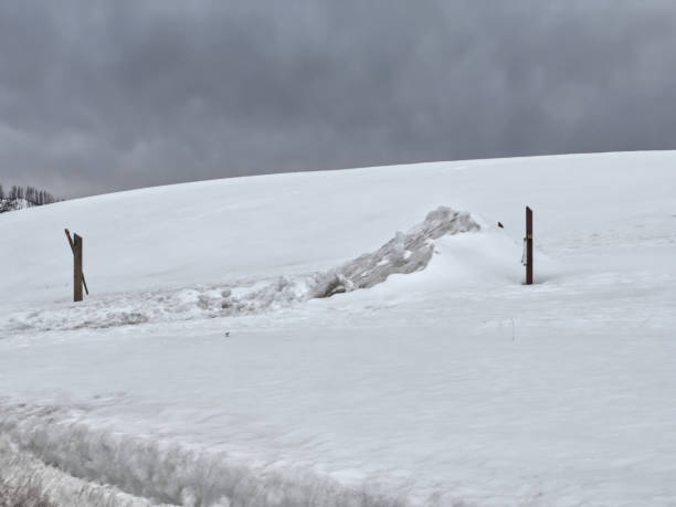 istock Valles Caldera National Preserve 1387470183