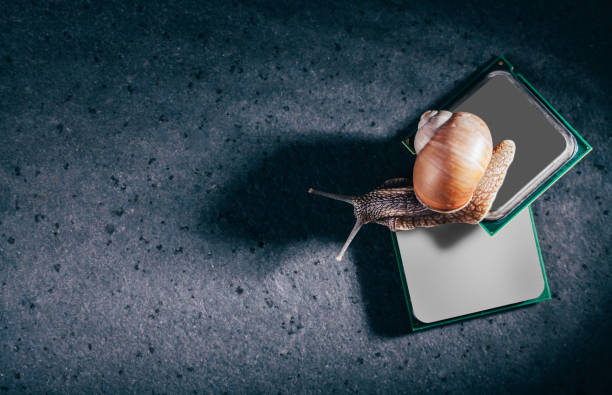 istock Snail on two processors on a dark background. Old slow processors. Outdated components. Place under the inscription. 1387470216
