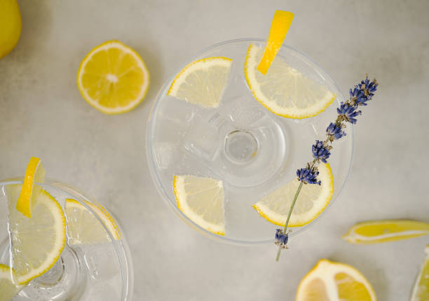 Clear water in a glass with ice and lemon slices stands on a light gray concrete background. The glass is decorated with a sprig of lavender and a slice of lemon. Near are sliced lemons. Top view, close up Clear water in a glass with ice and lemon slices stands on a light gray concrete background. The glass is decorated with a sprig of lavender and a slice of lemon. Near are sliced lemons. Top view, close up soda water glass lemon stock pictures, royalty-free photos & images