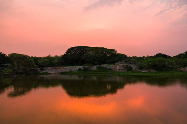 красочный закат на озере лалбаг, бангалор, карнатака, индия. - lalbagh стоков�ые фото и изображения