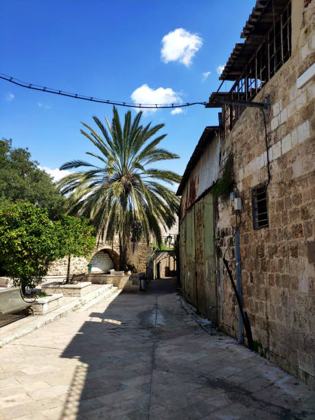 Ramla Fotos Bilder und Stockfotos iStock