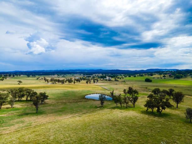 istock Wellington Vale, NSW, Australia 1387475164