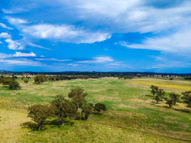 istock Wellington Vale, NSW, Australia 1387475555