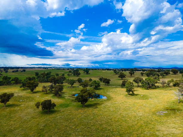 istock Wellington Vale, NSW, Australia 1387476503