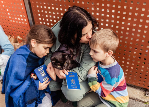 Mother with children and cat holding passports fleeing from Ukraine waiting for help and registration in charity center. Text on passports is: Ukraine Passport Mother with children and cat holding passports fleeing from Ukraine waiting for help and registration in charity center. Text on passports is: Ukraine Passport animal related occupation stock pictures, royalty-free photos & images
