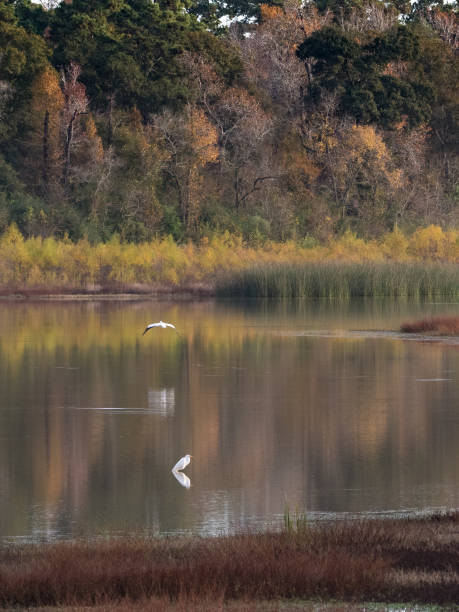 istock Vertical image of a Texas pond in autumn. 1387477855