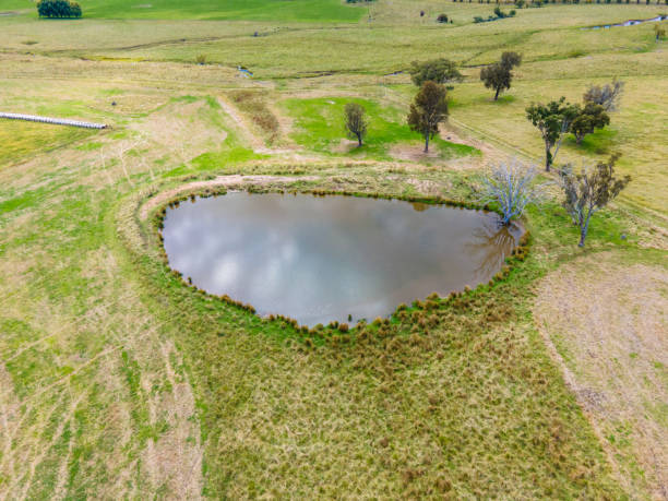 istock Wellington Vale, NSW, Australia 1387478057