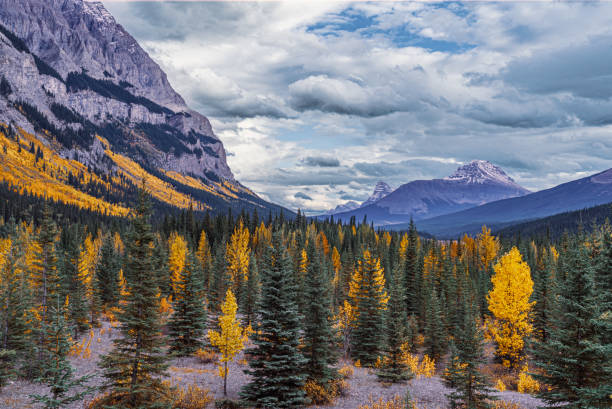 istock View South along Icefields Parkway, Banff 1387479402