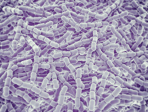 Streptococcus Pneumoniae Bacteria Cells. 3D render microscopic background.