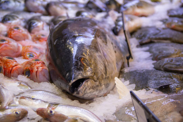 istock Big tuna on ice in display in store. 1387482492