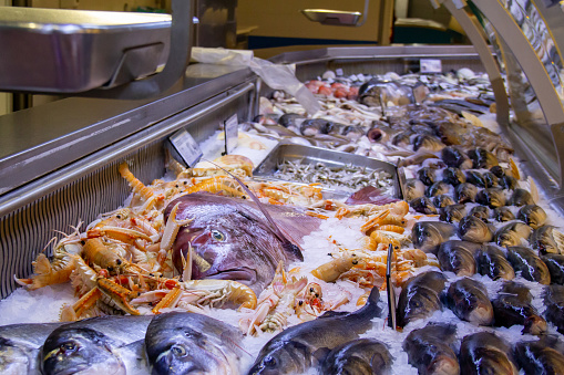 Santa Cruz de Tenerife, Spain - November 24, 2021: Seafood counter in a supermarket in the Meridiano shopping center in Santa Cruz. Different marine life lies in ice at the market with price tags