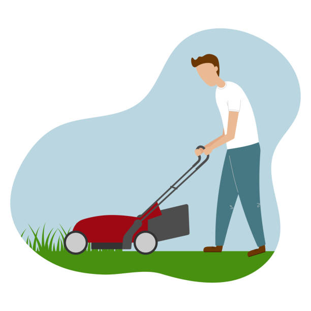 Man cutting grass in garden Gardener mowing lawn with electric push-mower in backyard. Vector illustration lawn mower clip art stock illustrations