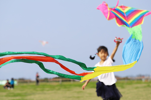 two smiling asian twin grils flying kite in a meadow under blue sky, background for happy family.