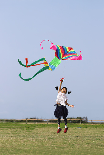 two smiling asian twin grils flying kite in a meadow under blue sky, background for happy family.