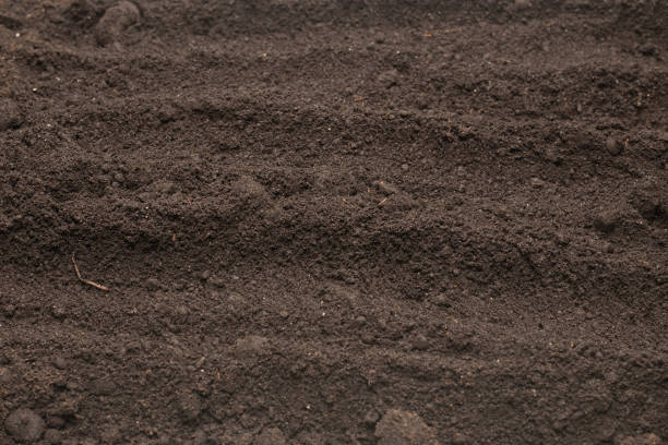 istock Black land for plant background. Top view. 1387488454