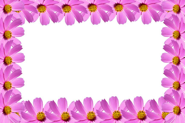 Colorful glittered flowers on a white background with copy space