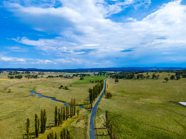 istock Wellington Vale, NSW, Australia 1387492204