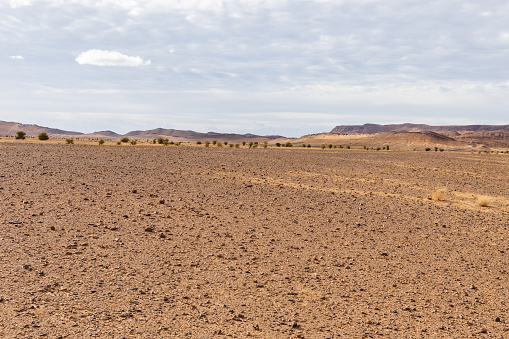 Desolate stone desert in Sahara, gravel desert