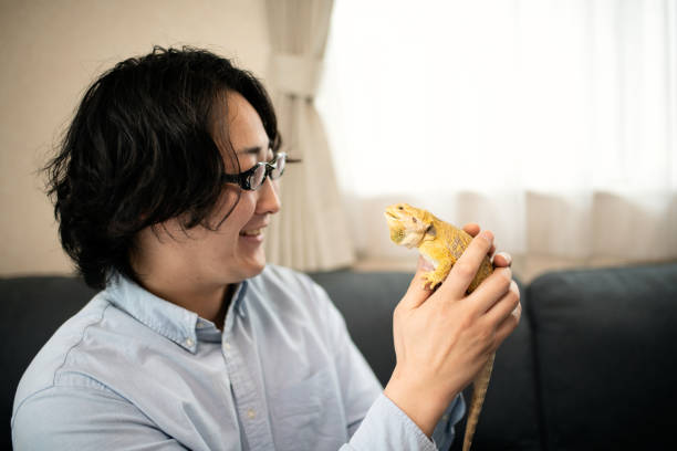 istock Man loves the bearded dragon 1387494538