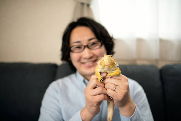 istock Man loves the bearded dragon 1387494551