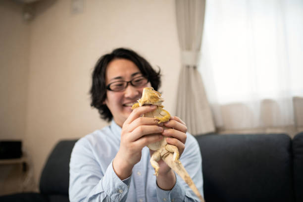 istock Man loves the bearded dragon 1387494643