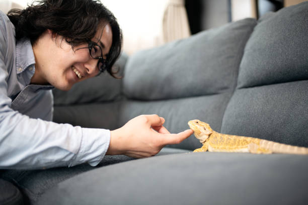 istock Man loves the bearded dragon 1387494701