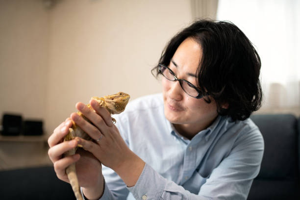 Man loves the bearded dragon