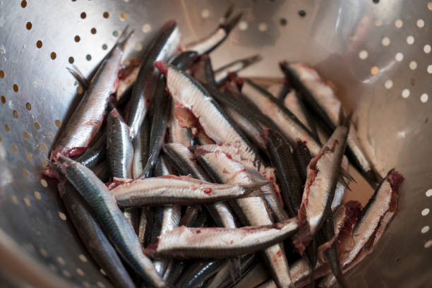 Cleaned ready-to-cook raw fish,close-up sorted and cleaned raw anchovy